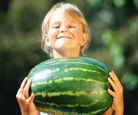 龙湖吃瓜视频,揭秘幕后真相，带你领略网络热点的另一面