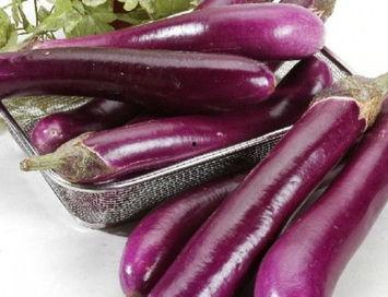 葫芦瓜配茄子可以吃吗视频,营养美味两不误的神奇搭配