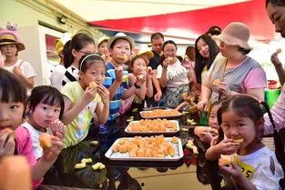 本地吃瓜群众视频,一场热闹非凡的街头事件