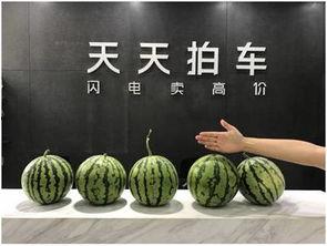 广州摄影圈吃瓜视频,揭秘吃瓜视频背后的精彩故事