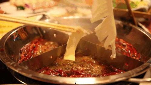 火锅店老板吃瓜视频,吃瓜视频引发网友热议