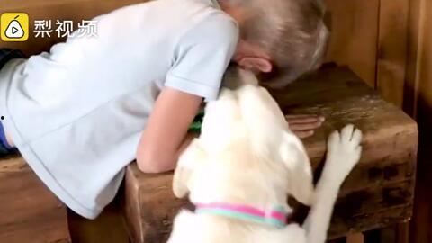 心机狗吃瓜视频,揭秘心机狗吃瓜背后的真相与笑料