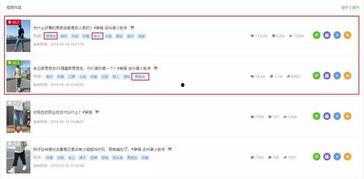 吃瓜骂人语音播报视频下载,网络恶搞风潮下的趣味与争议