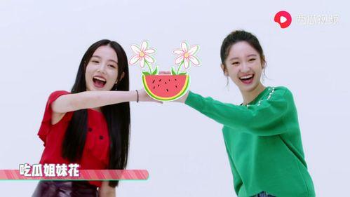 星期六吃瓜视频,揭秘热门吃瓜视频背后的故事