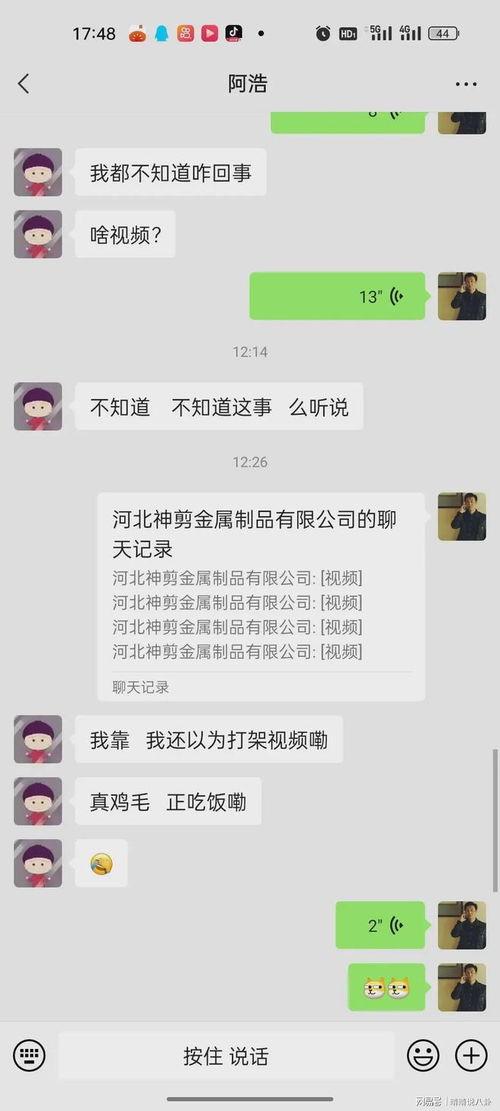 吃瓜事件第六页视频下载,视频内容深度解析
