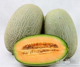 摩耶可以吃哈密瓜吗视频,一场美味的邂逅